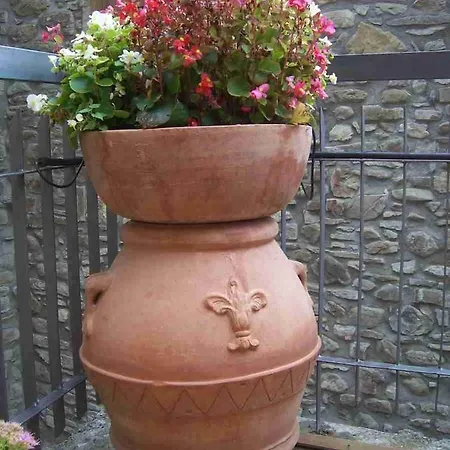 Casa Marisa ביביאנה